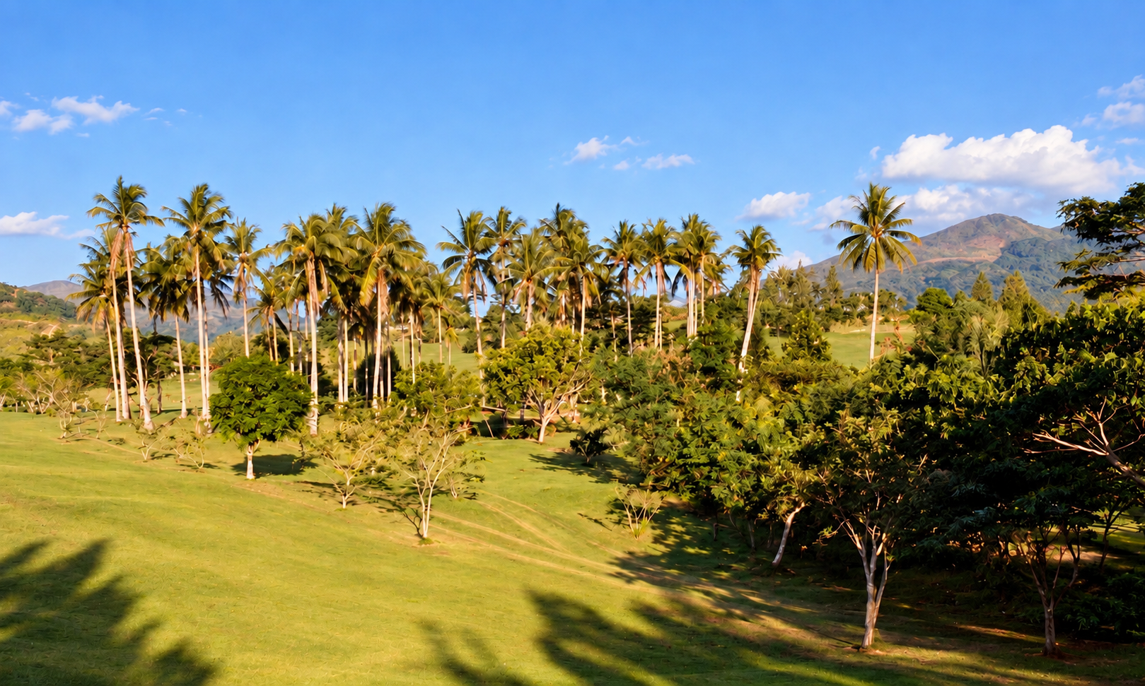 Palm-lined fairways and tropical hills at Marcopper Golf Club.