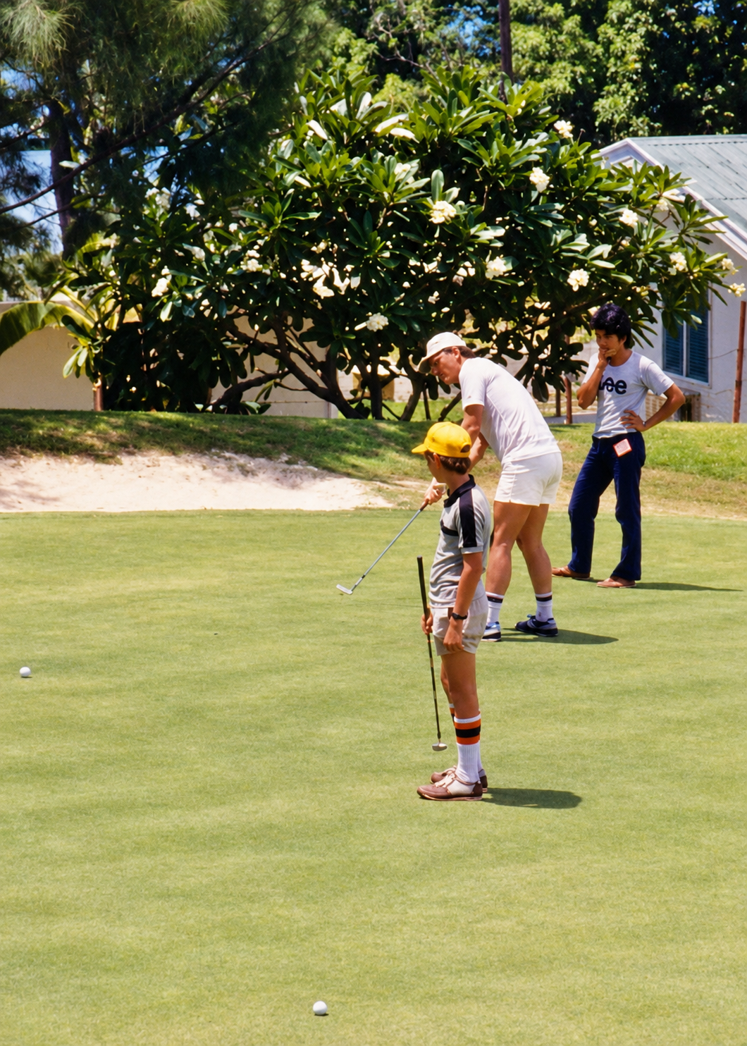 Golfers putting on a green beside a sand trap and flowering tree.