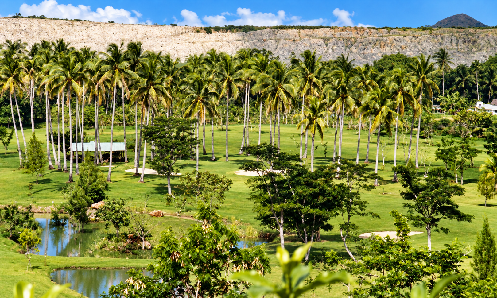 Ponds, sand traps, and palm-lined fairways below the mine.