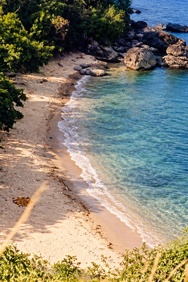 A rocky cove with clear blue water and dense green vegetation along the shoreline.