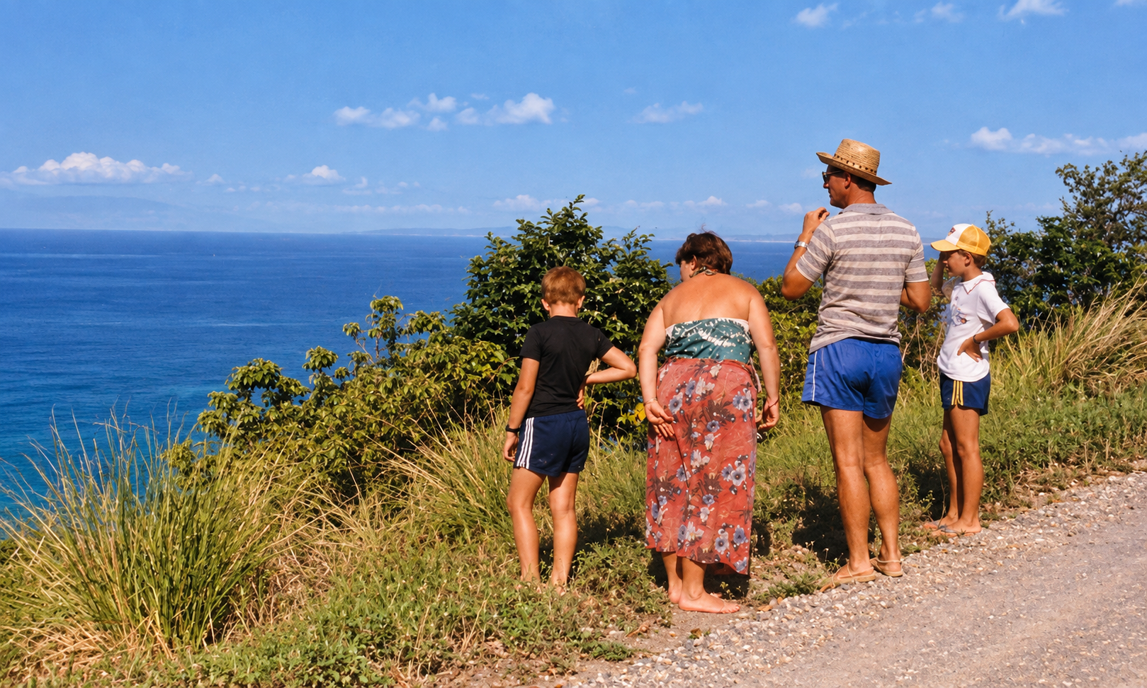 Four people standing at a roadside lookout above the blue sea.