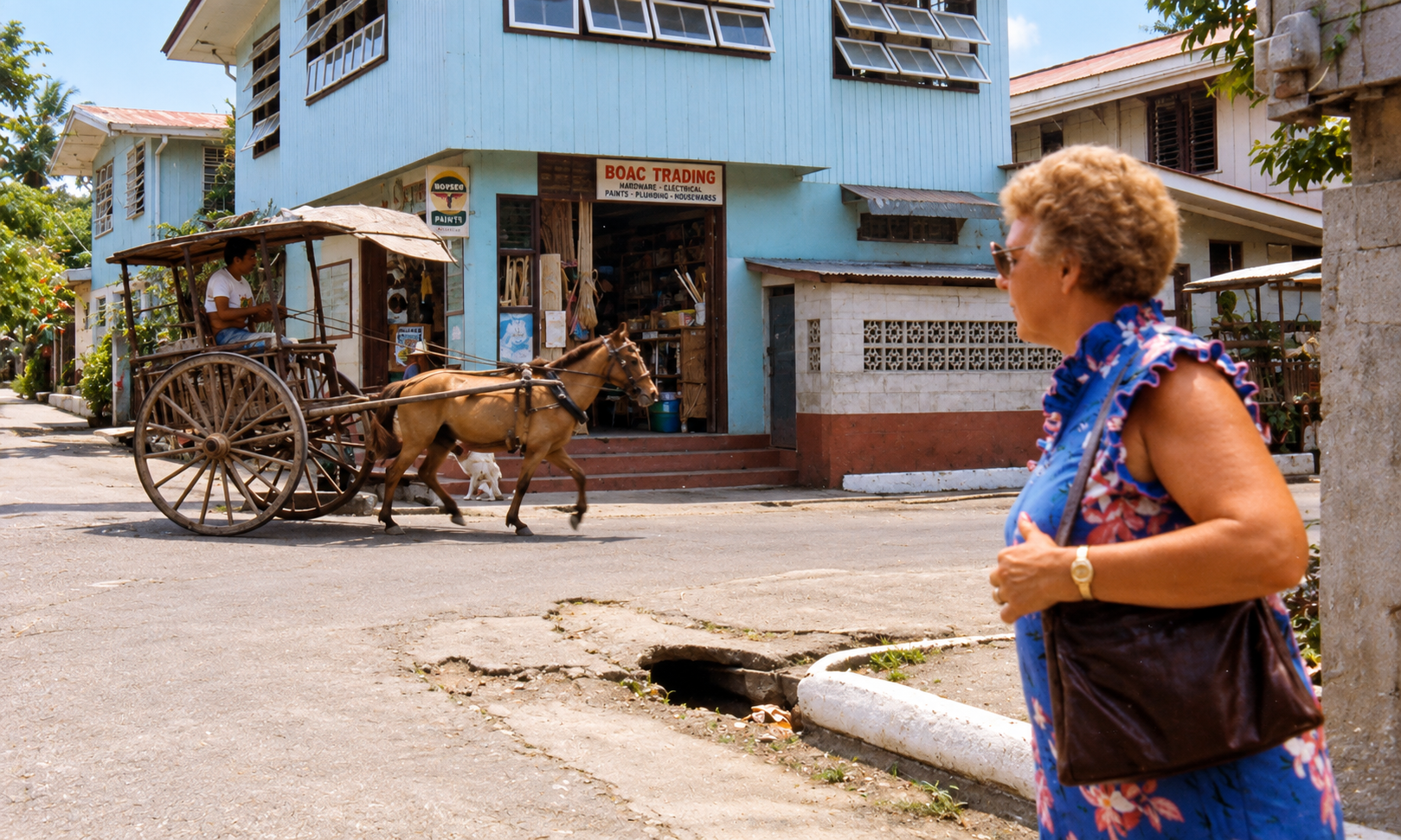 A woman watching a horse-drawn carriage pass the Boac Trading building.
