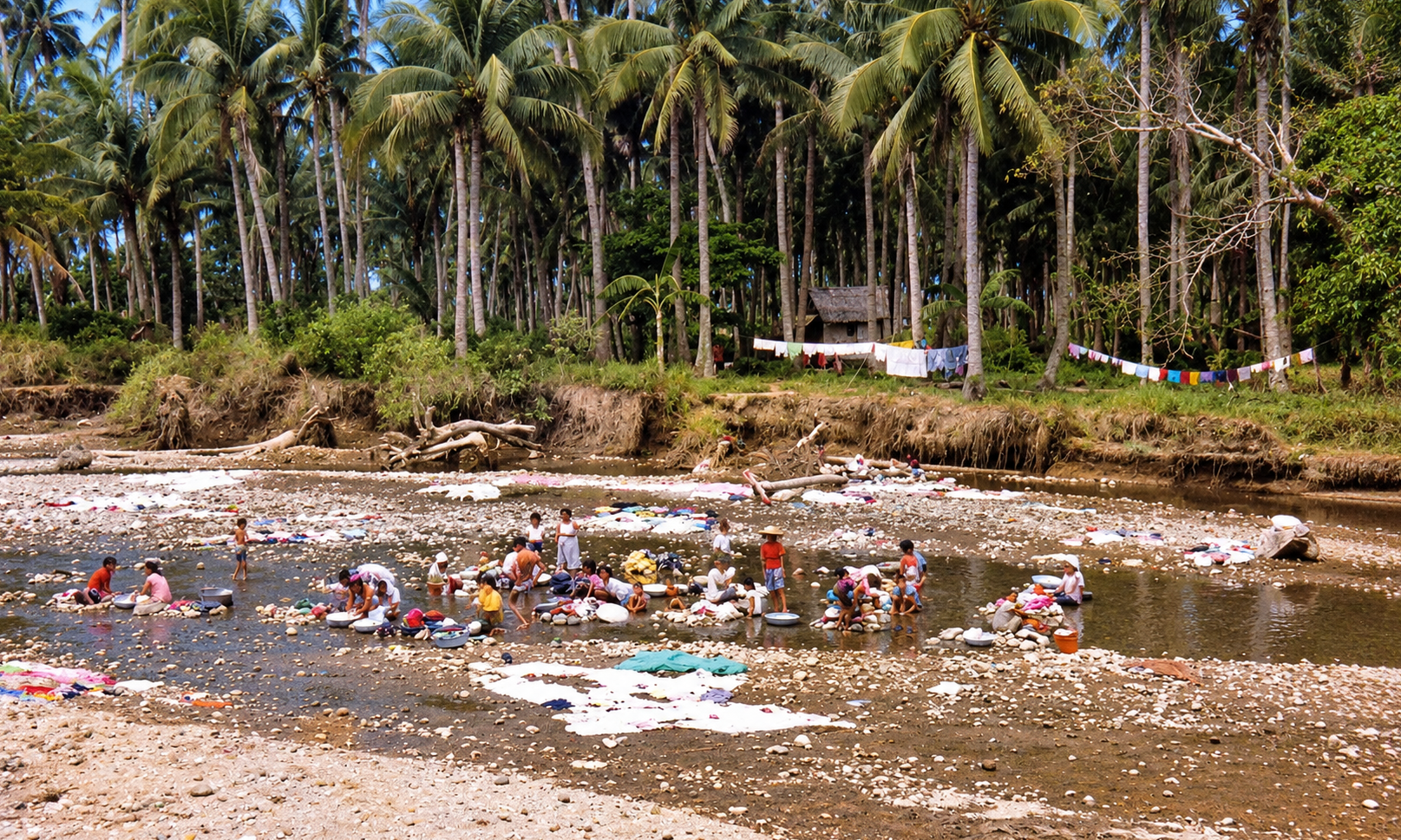 People washing clothes in a shallow river beneath coconut palms, with laundry spread out to dry.