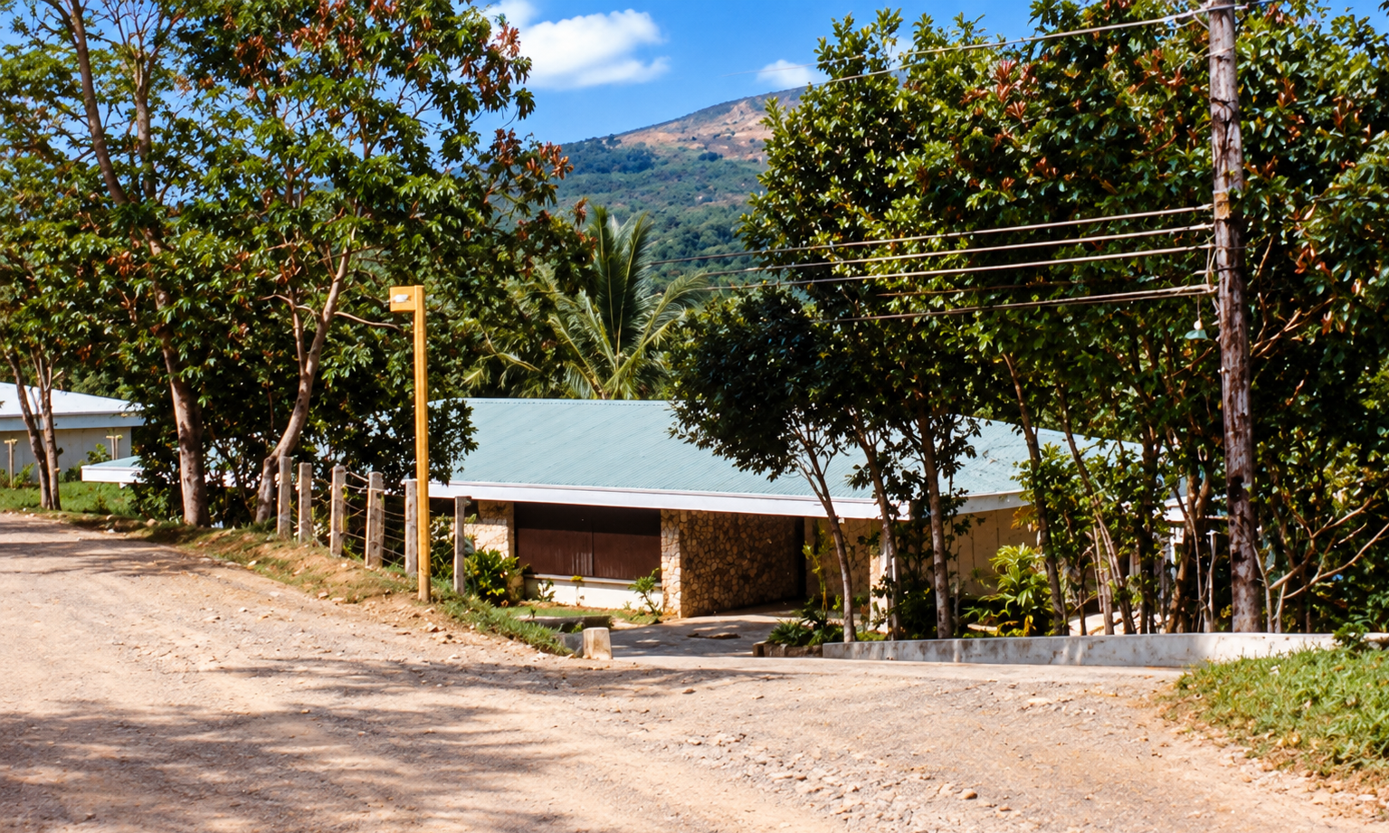 The house and driveway seen from the road, surrounded by tropical trees.