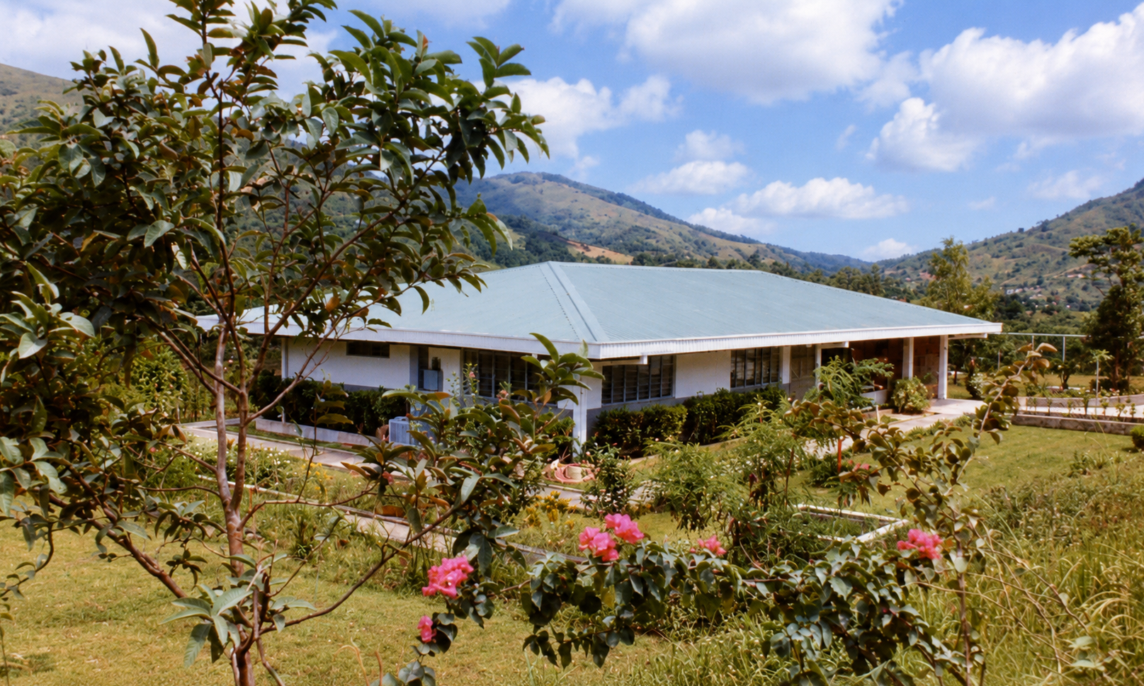 The green-roofed house beyond flowering garden plants, with mountains behind.