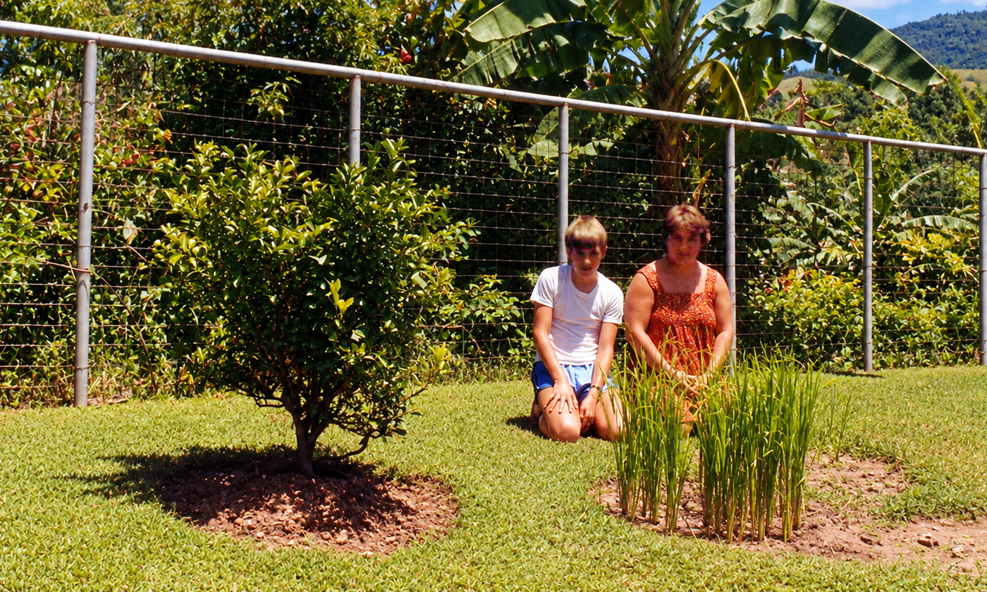 A boy and woman kneeling beside plants in the garden.