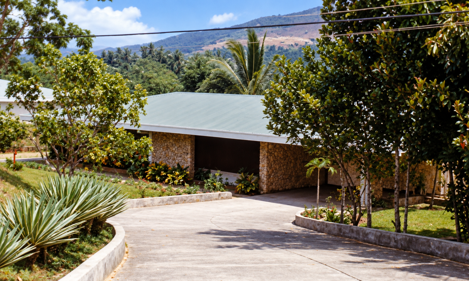 The curving driveway leading to the house, bordered by tropical plants.