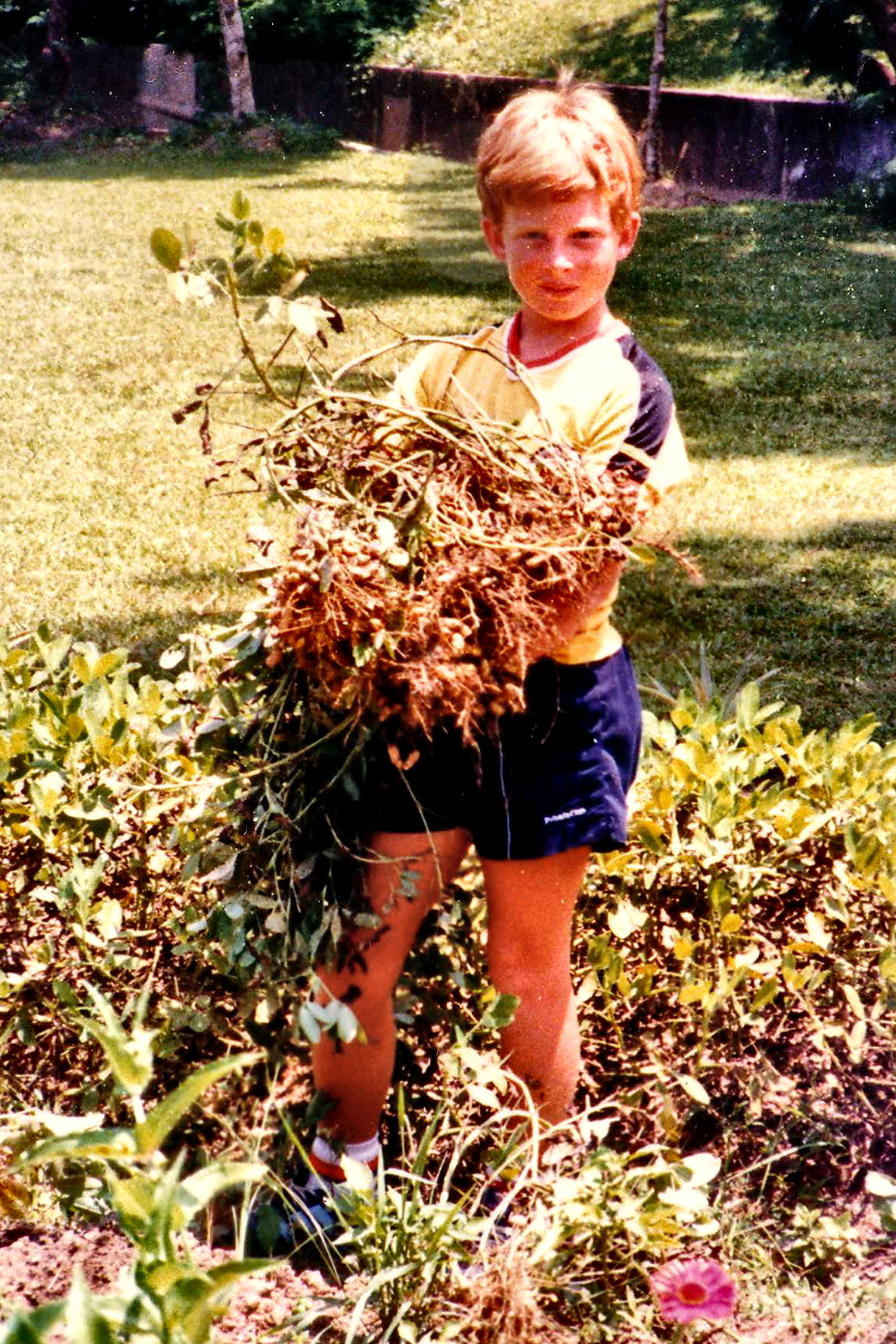 A boy holding a large bundle of freshly pulled plants in the garden.